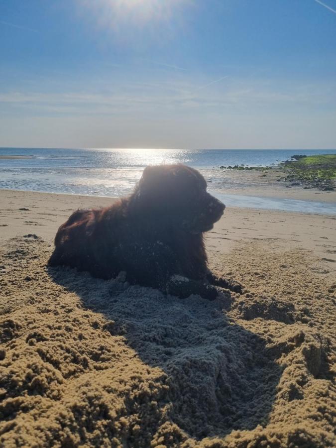 Meerblick Wattenmeer ,50M Vom Meer,Strand 300M Westerland Exterior photo
