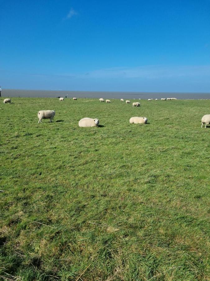 Meerblick Wattenmeer ,50M Vom Meer,Strand 300M Westerland Exterior photo
